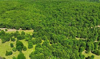 210 County Road 320, Alton, MO 65606