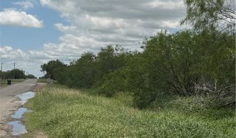 County Road 137, Alice, TX 78332