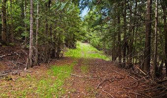 10435 Highway 1, Bonners Ferry, ID 83805
