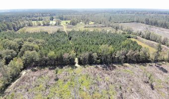 Old Buckhead Road, Bamberg, SC 29003