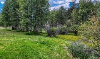 33 Grouse Ln, Bailey, CO 80421