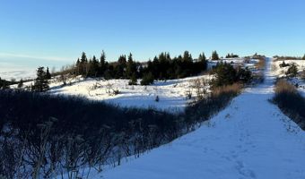 9824 Meadow Rd, Anchorage, AK 99516