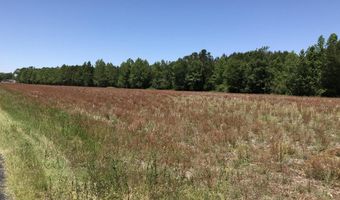 NW Little Prong Rd NW lot 4 And 5, Ash, NC 28420