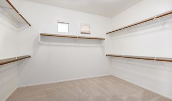 3922 E VIRGO Pl, Chandler, AZ 85249