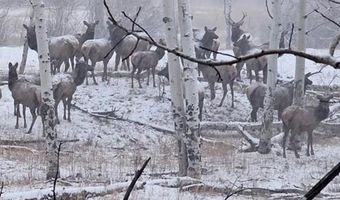 10401 Windy Ridge Rd, Aguilar, CO 81020