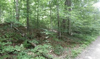 Lot 005 Hebo Hybo Road, Acton, ME 04001