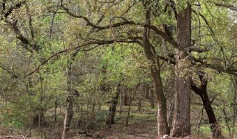 Tract 7 Tbd County Road 3204, Abbott, TX 76621