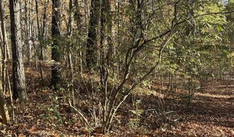 33 Eagle Rdg, Ball Ground, GA 30107