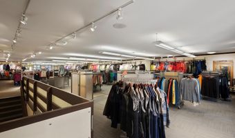 408 E Cooper Ave, Aspen, CO 81611