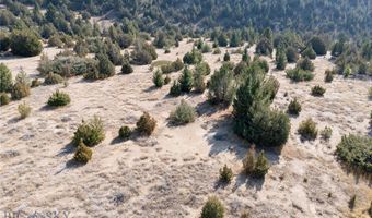 NHN Trails End Drive, Anaconda, MT 59711