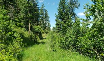 Lot 20 Arlee Pines, Arlee, MT 59821