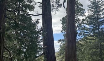 636 Mountain Center 35-0002, Mountain Center, CA 92561