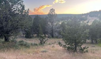 639 Pheasant Dr, Alturas, CA 96101