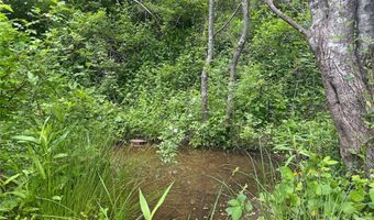 V/L Wolf Crossing, Bakersville, NC 28705
