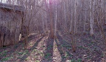 Toole Creek Road, Abingdon, VA 24210