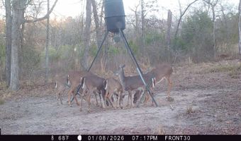 80 N4130 Rd, Antlers, OK 74523