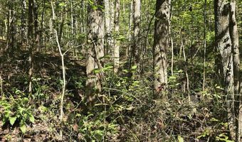 HURT HOLLOW RD, Banco, VA 22711