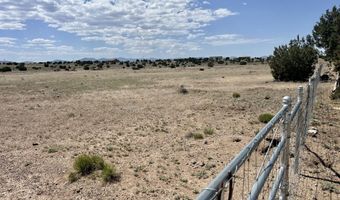 Windsor Valley Ranch Lot 135, Concho, AZ 85924
