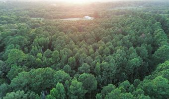 120 Little River 180, Ashdown, AR 71822