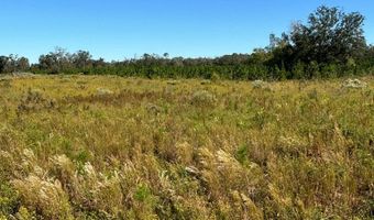 00 50th Ave, Bell, FL 32619