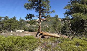 186 Trails End Dr, Alton, UT 84710