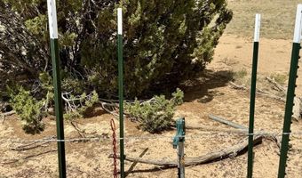 17 COUNTY ROAD N8034 185, Concho, AZ 85924