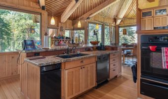 309 Snowshoe Rd, Bear Valley, CA 95223