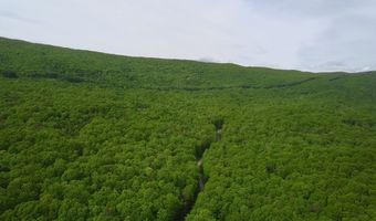 Tbd Brookstone Rd, Bastian, VA 24314
