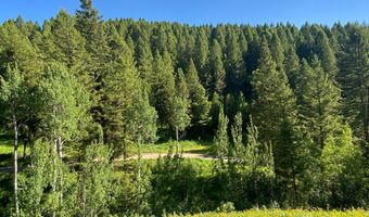 400 GROVER DRY FARM Rd, Afton, WY 83110