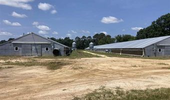 4568 Screw Pin Rd, Blenheim, SC 29516