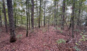 141 144 COUNTY RD 219, Arley, AL 35541