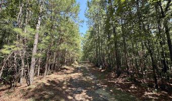 TBD Santee Rd, Andrews, SC 29510