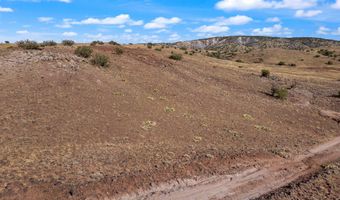 N8491, Concho, AZ 85924