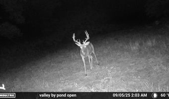 Co Rd 321 Route 5, Ava, MO 65608