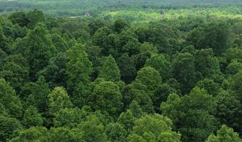 000 Fowler Rd, Beech Bluff, TN 38313