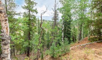 427 Wise Rd, Bailey, CO 80421