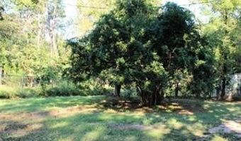 507 NE 4th St, Antlers, OK 74523