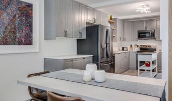 28 Widget St 415, Basalt, CO 81621