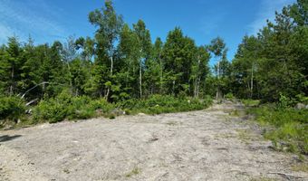 Lot 39 Southwest Brook Lane, Beddington, ME 04622