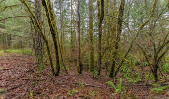 Upper Cow Creek Road, Azalea, OR 97410