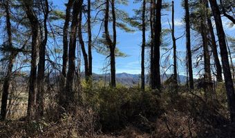 00 Airport Rd, Andrews, NC 28901