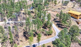 223 Lake Shore Dr Lot 1, Alto, NM 88312