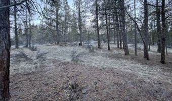 Bobcat Circle, Beatty, OR 97621