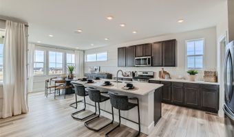 4223 Crestone Peak St Plan: Artisan Four, Brighton, CO 80601