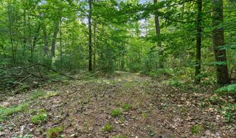 1125 39th St, Allegan, MI 49010