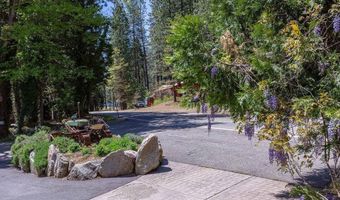 33800 Alta Bonny Nook, Alta, CA 95701