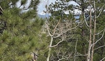 Mockingbird Trail, Bailey, CO 80421