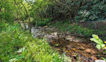 1619 Squirrel Creek Rd, Ararat, VA 24053