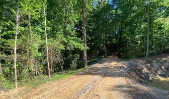 Tract 2 Hwy 51S, Homer, GA 30547