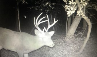 12823 LEWIS Rd, Berlin, MD 21811